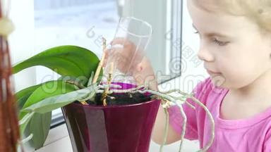 可爱的<strong>小女孩</strong>在家里种了一个新盆子后，正在给一个家里的植物<strong>浇水</strong>